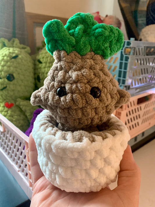 Popping Baby Mandrake - Crochet